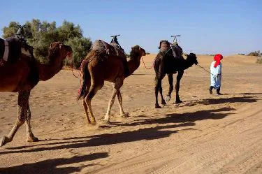 Casablanca to Fes Cultural Excursion