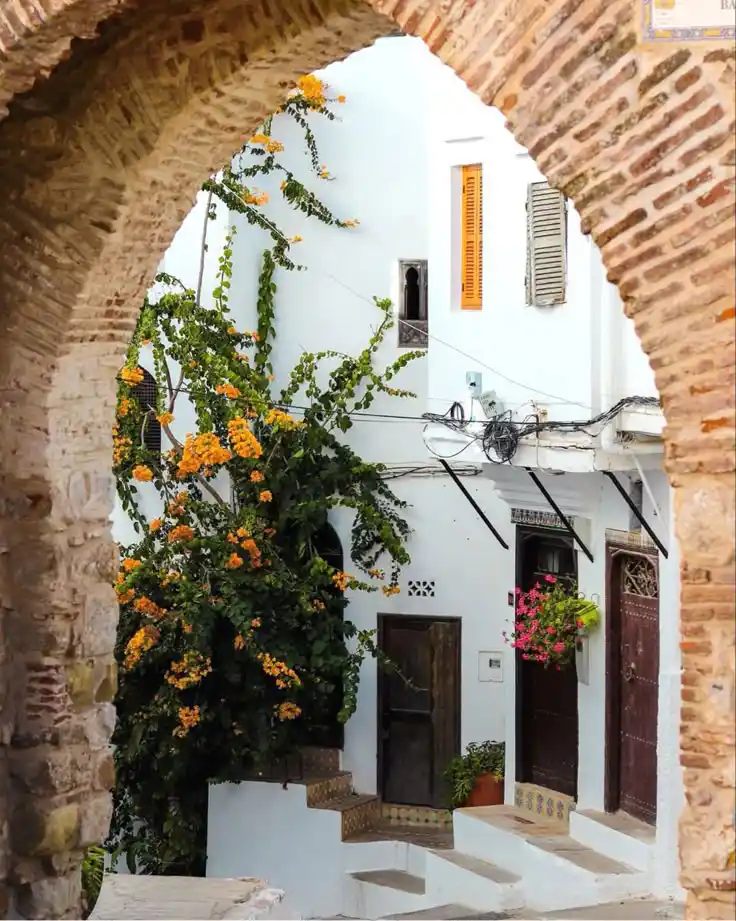 3 Days Casablanca to Chefchaouen & Tangier Tour